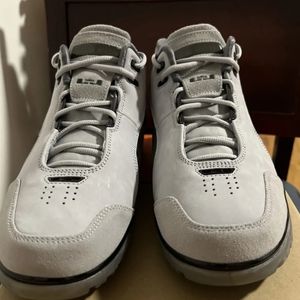 Nike lebron zoom generation